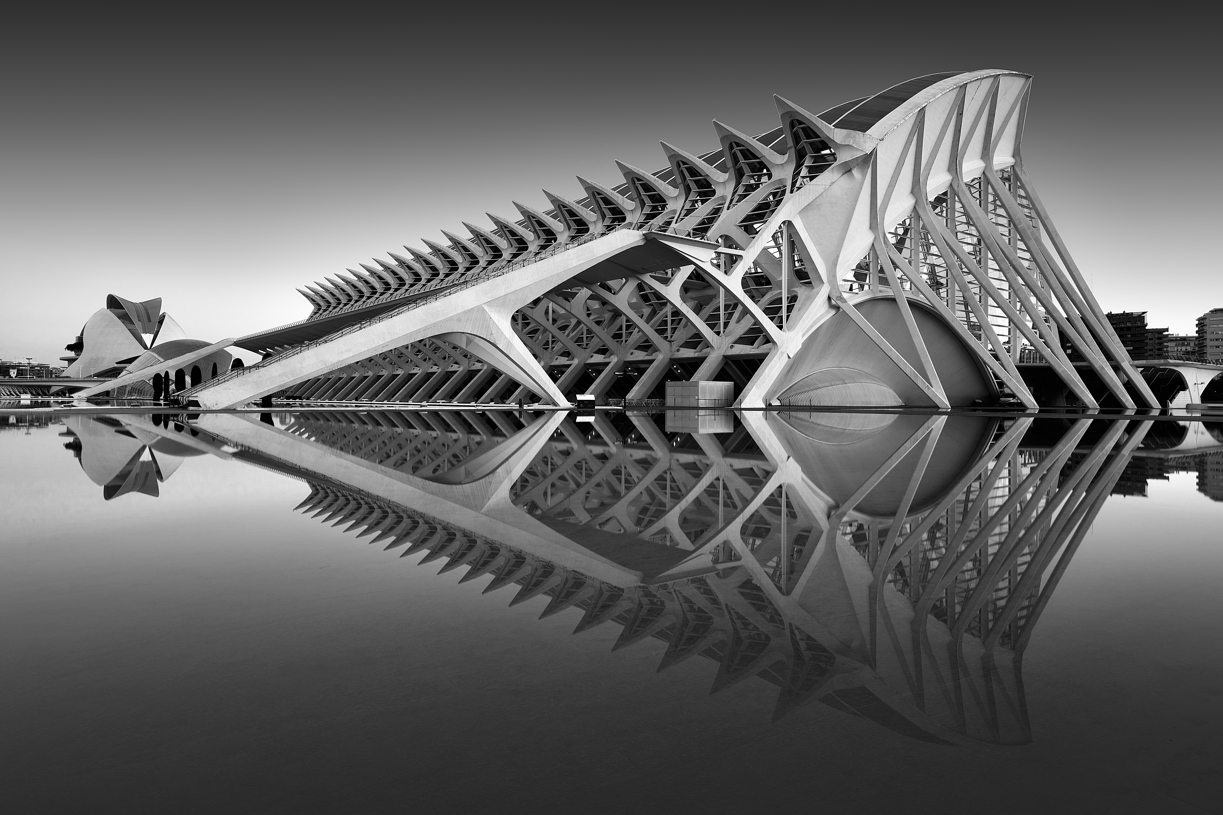 SINGAPORE PHOTOGRAPHER AWARDS 2020 WINNERS REPRESENTED SINGAPORE
